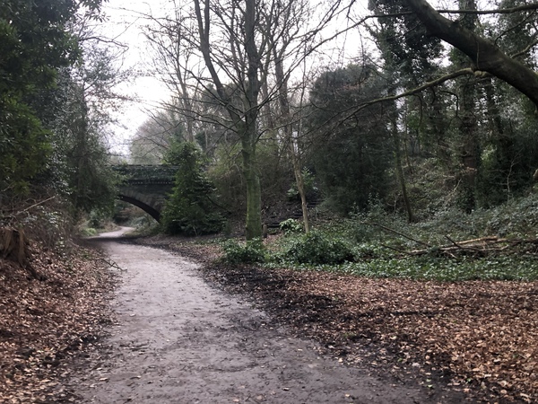A paved footpath leading to a rail bridge with trees either side and steep banks.