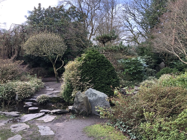 In the Japanese Garden in Calderstones Park