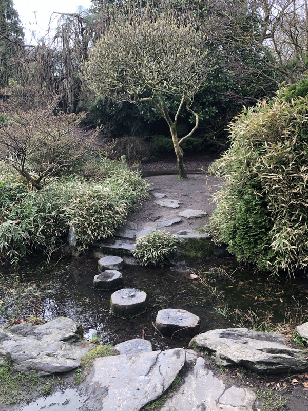 In the Japanese Garden in Calderstones Park